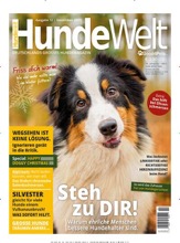 HundeWelt